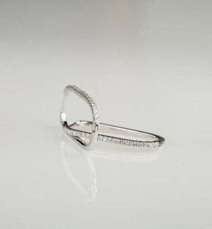 Linear Lumière Hoops